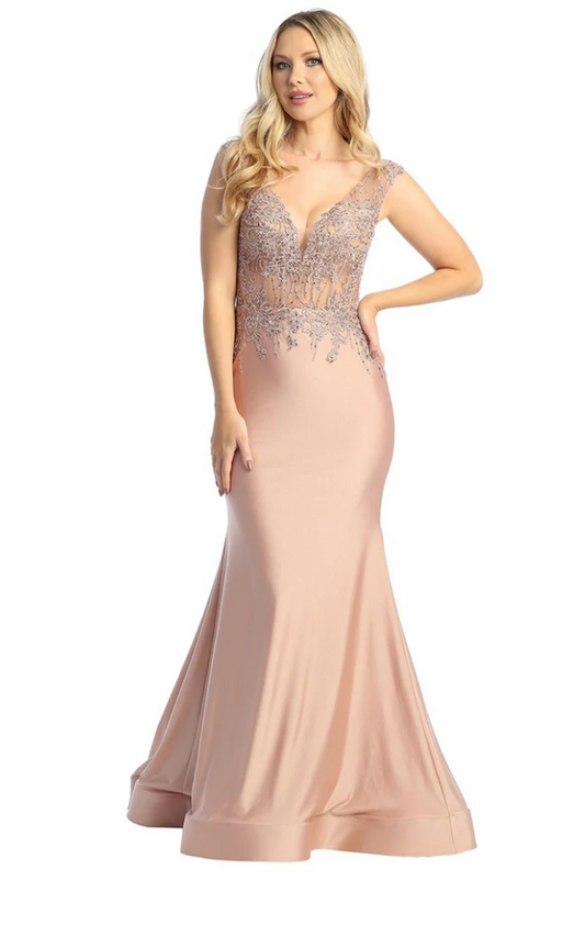 Evening Dress See Trough Top