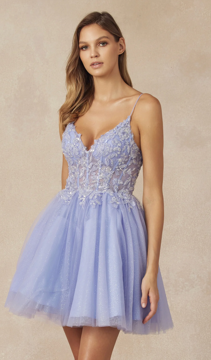 Embellished Short Glitter Tulle Dress